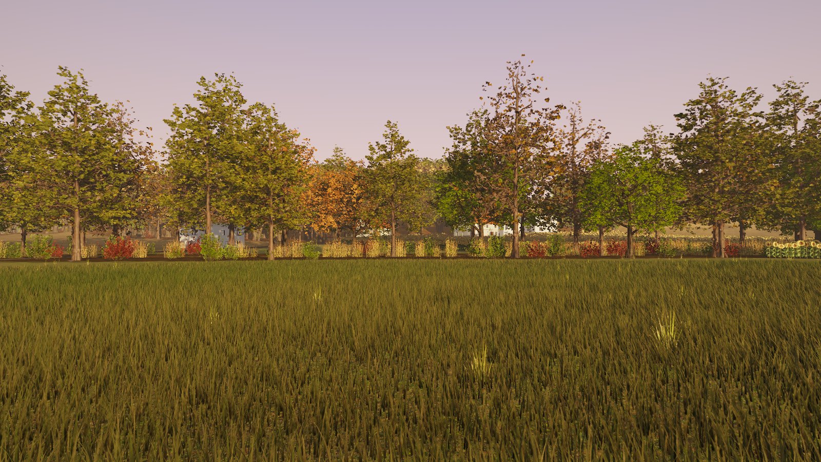 La campagne au matin