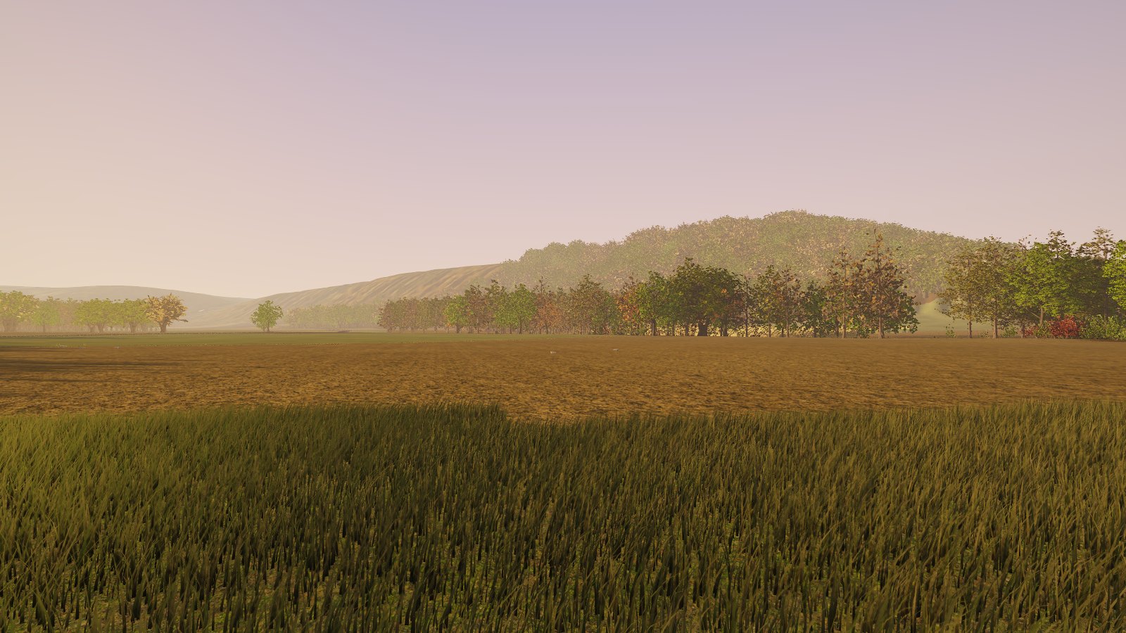Prairie et collines